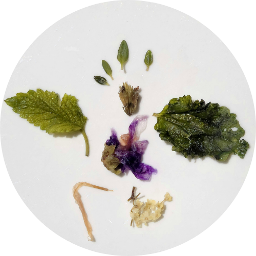 "Heidi" - Infusion fleurie - Suisse - Récolte 2025 (35g)