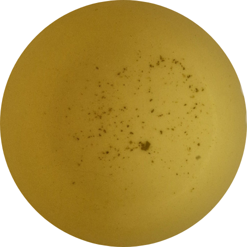 "La pierre et le sabre" - thé vert GABA - Récolte 2025 (70g)