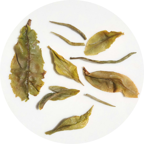 "Poucette" - Darjeeling Moonlight Mystique - Domaine Thurbo - Première Récolte 2025 (35g)