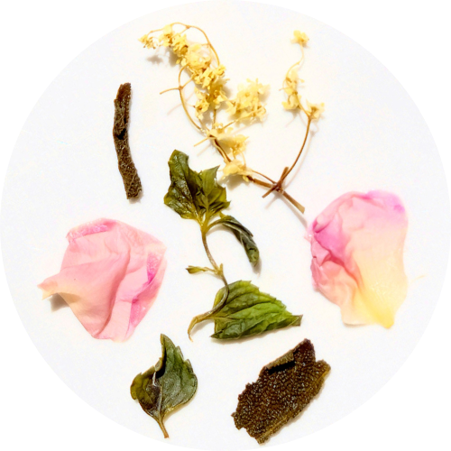 "Guillaume" - Infusion alpine - Suisse - Récolte 2025 (35g)