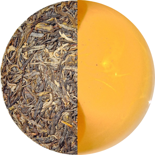 "Chevaucher le Tigre" - Bai Ying Shan - Gushu Sheng Pu erh - Récolte 2022 (200g)