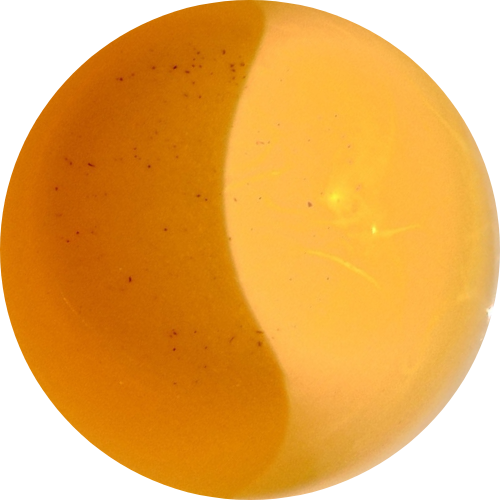 "Chevaucher le Tigre" - Bai Ying Shan - Gushu Sheng Pu erh - Récolte 2022 (200g)