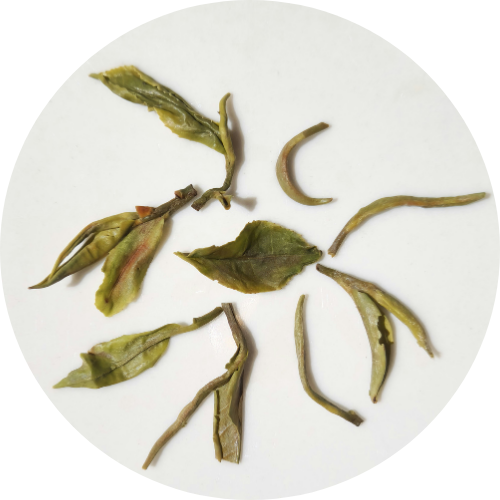 "Le temps retrouvé" - Darjeeling Spring Euphoria - Domaine Avongrove - Première Récolte 2025 (70g)