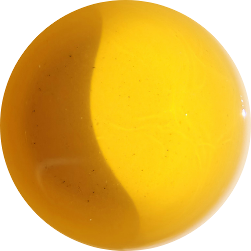 "Le temps retrouvé" - Darjeeling Spring Euphoria - Domaine Avongrove - Première Récolte 2025 (70g)