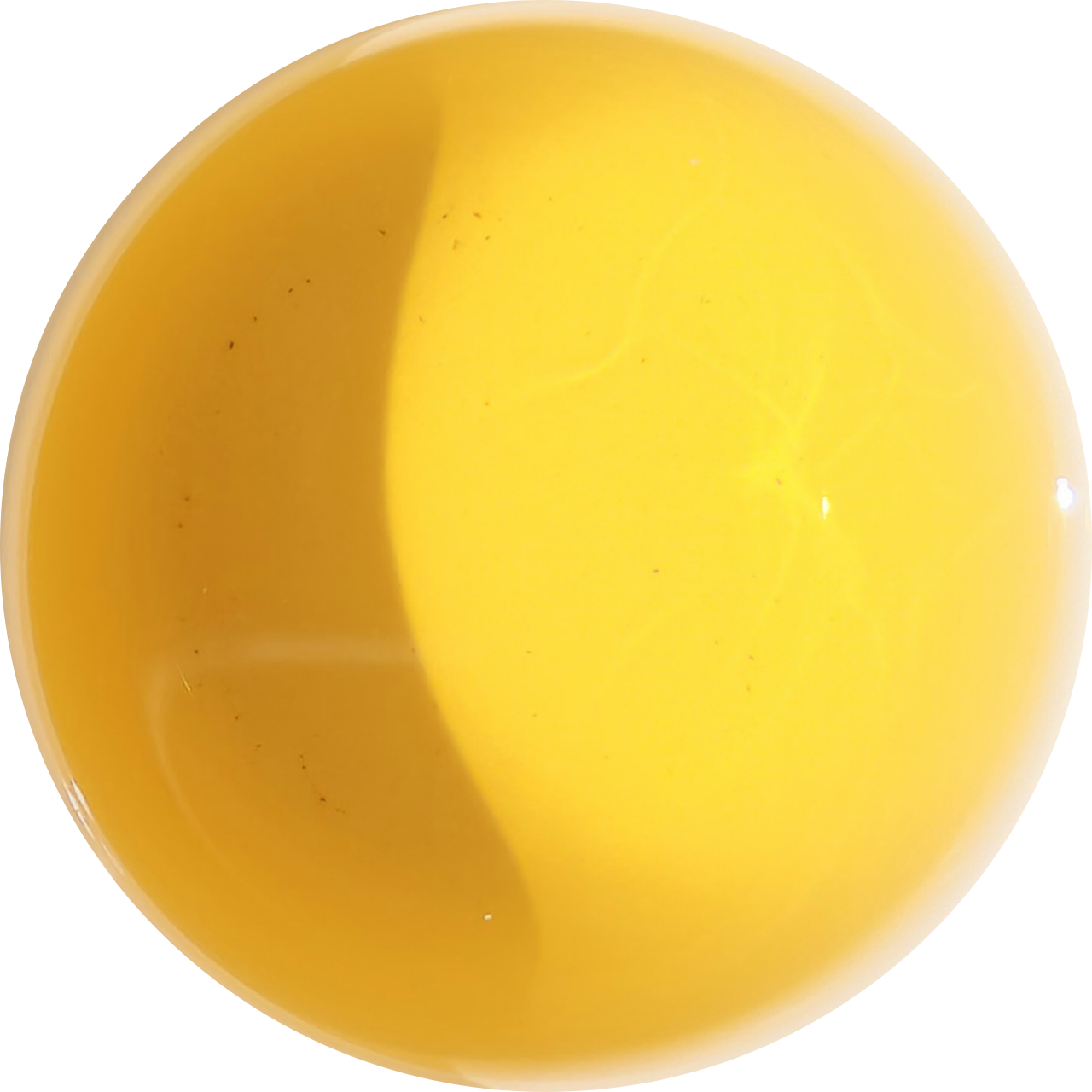 "Poucette" - Darjeeling Moonlight Mystique - Domaine Thurbo - Première Récolte 2025 (35g)