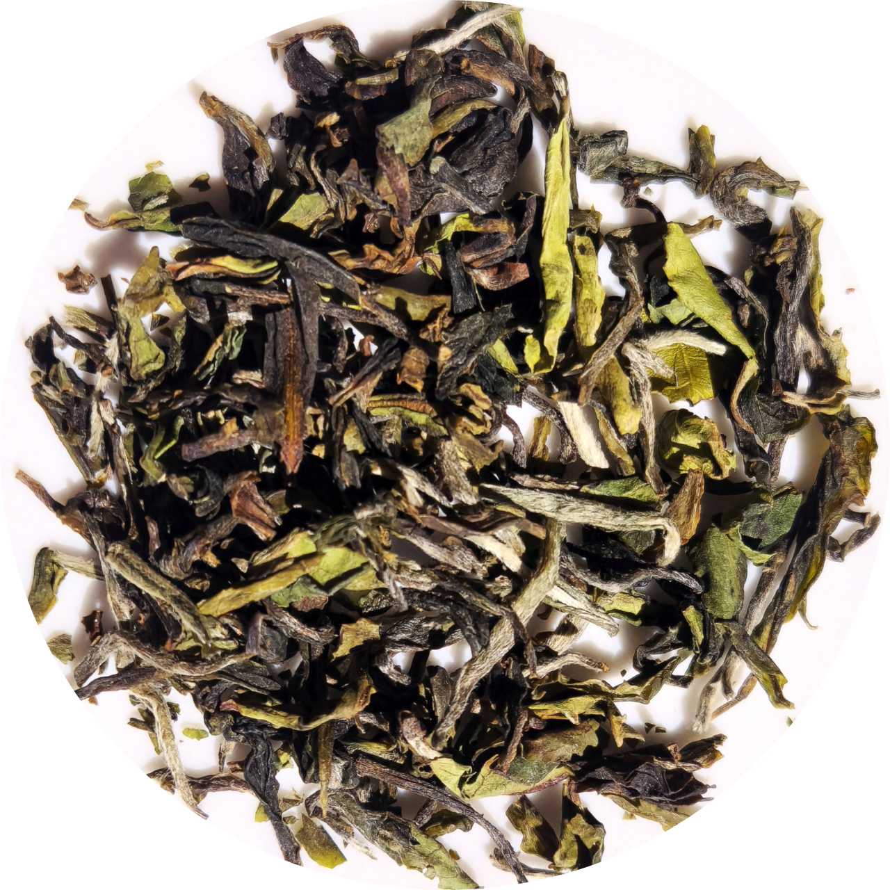 "Poucette" - Darjeeling Moonlight Mystique - Domaine Thurbo - Première Récolte 2025 (35g)