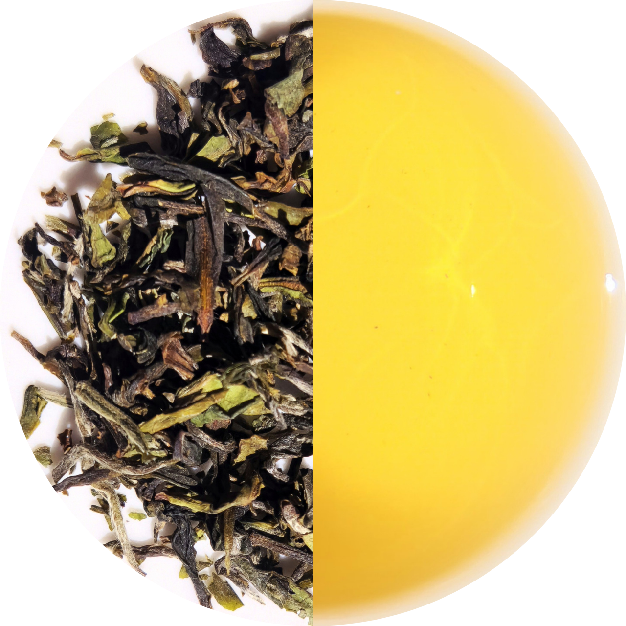 "Poucette" - Darjeeling Moonlight Mystique - Domaine Thurbo - Première Récolte 2025 (35g)