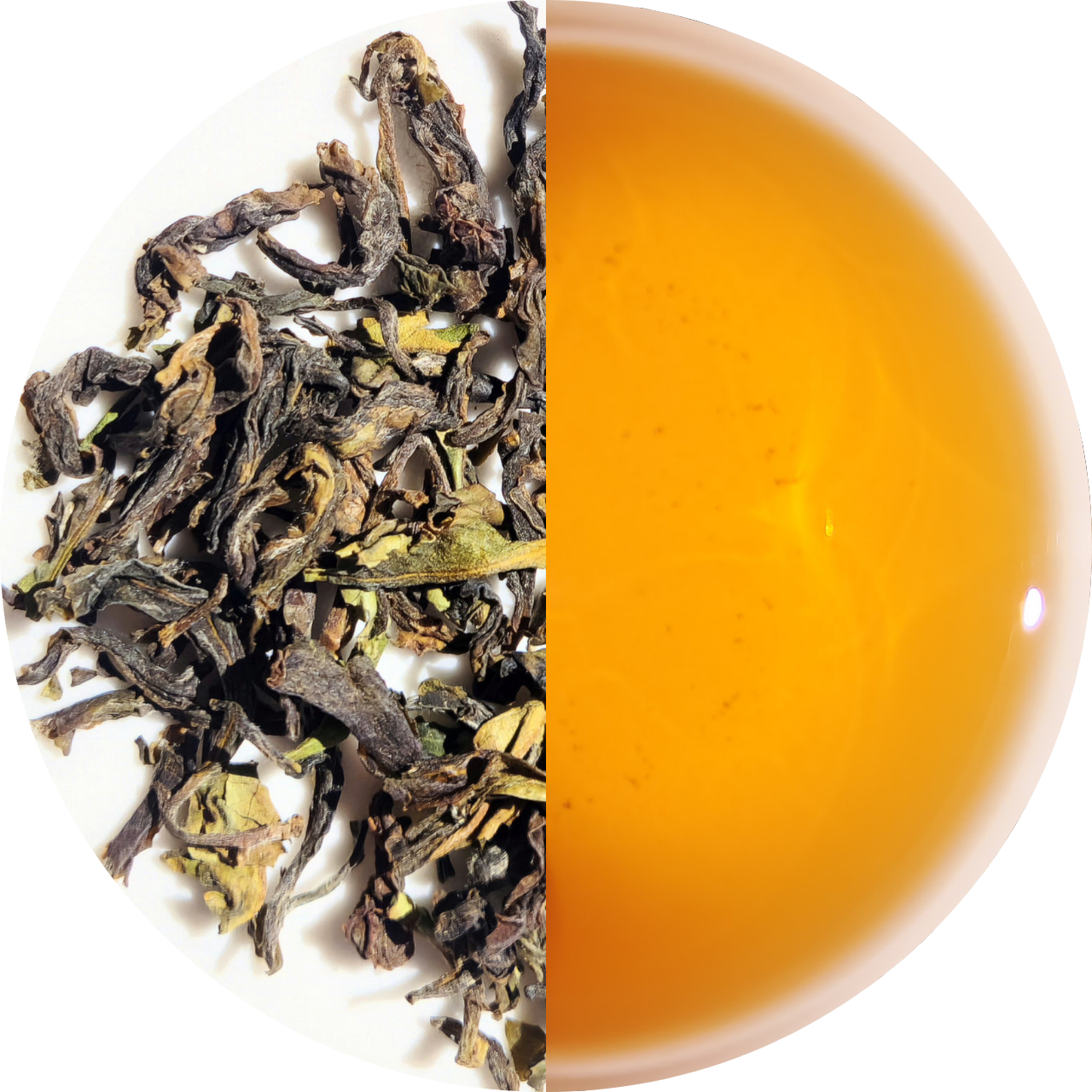 "Kim" - Darjeeling Spring Ruby - Domaine Arya - Première Récolte 2025 (70g)