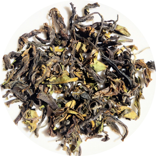 "Kim" - Darjeeling Spring Ruby - Domaine Arya - Première Récolte 2025 (70g)