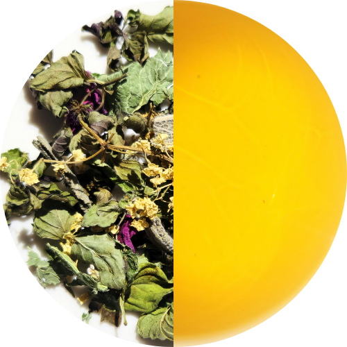 "Guillaume" - Infusion alpine - Suisse - Récolte 2025 (35g)