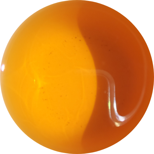 "Kim" - Darjeeling Spring Ruby - Domaine Arya - Première Récolte 2025 (70g)